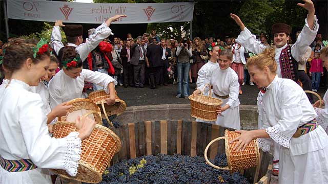 Vinařská turisitka v Bulharsku